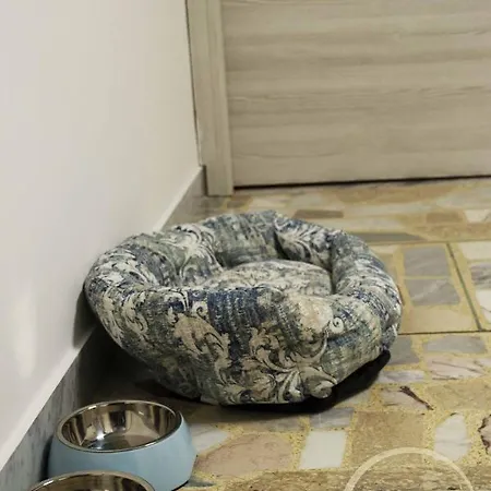 Apartment Fenty